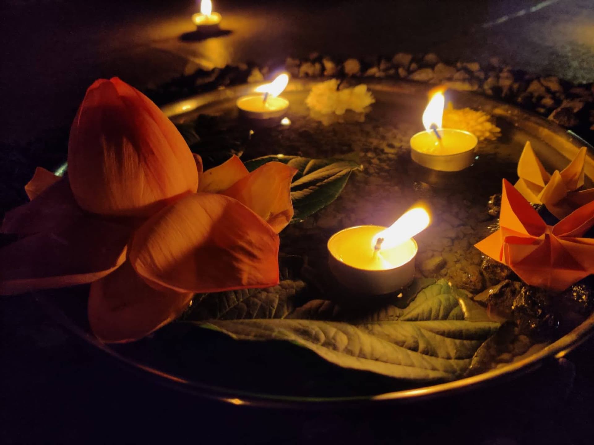Floating lamps and lotus in a still water bowl — a moment of stillness