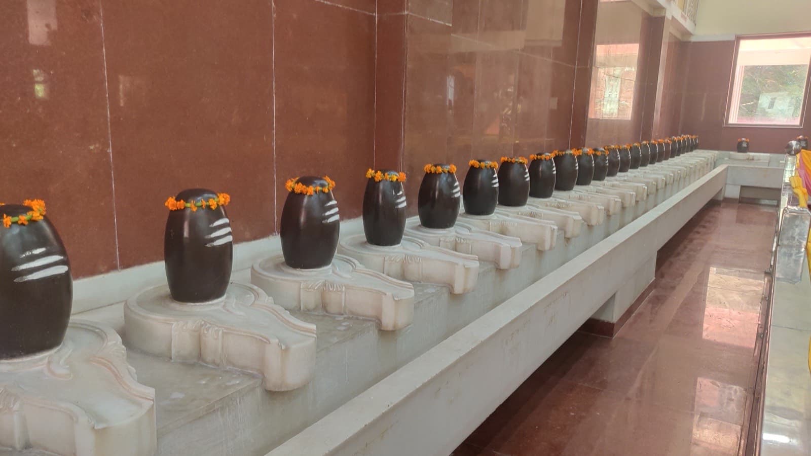 A long row of black stone lingams on marble plinths, each garlanded with marigolds